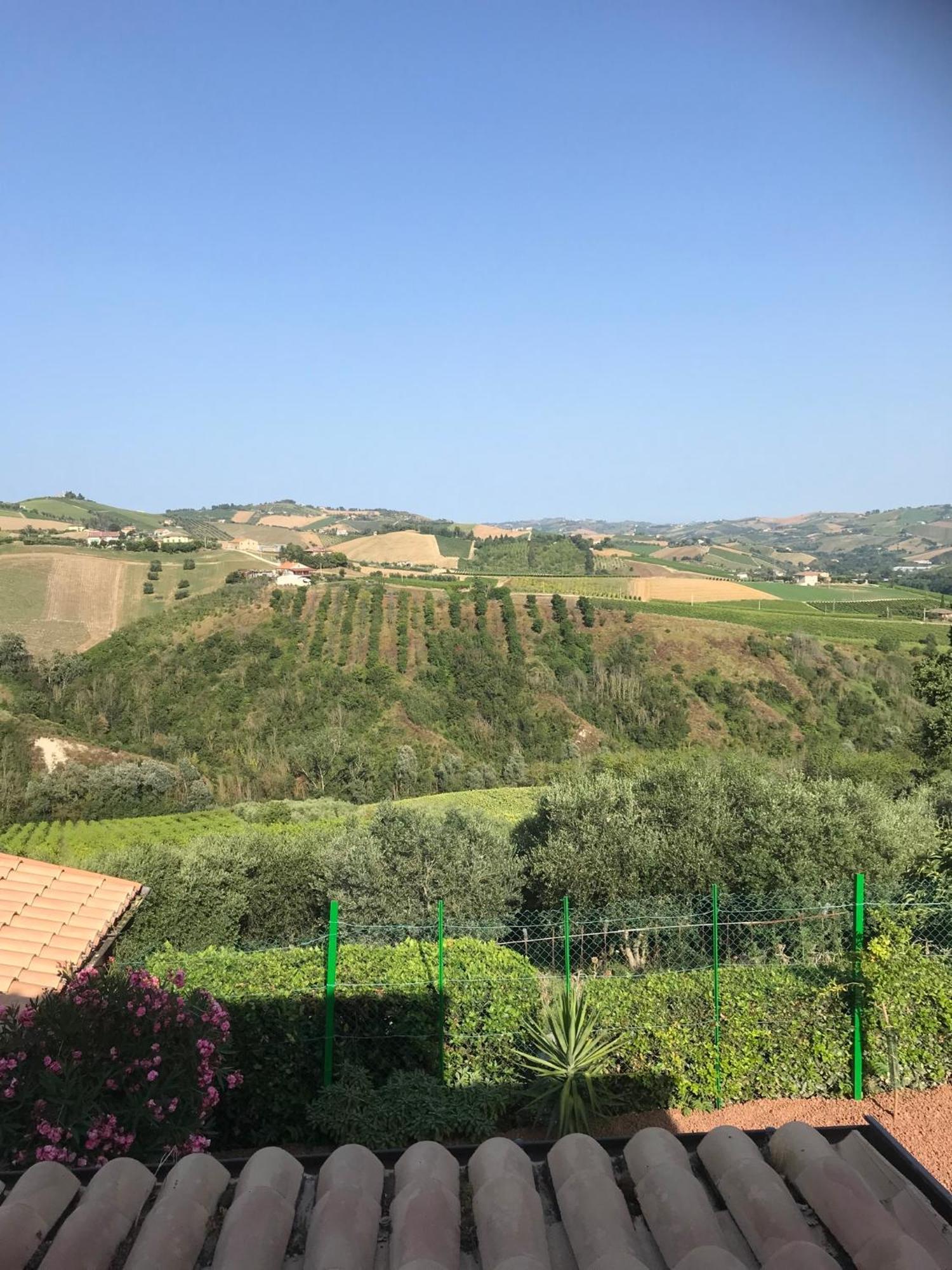 Montalto delle Marche Agriturismo Cerquatonda מראה חיצוני תמונה